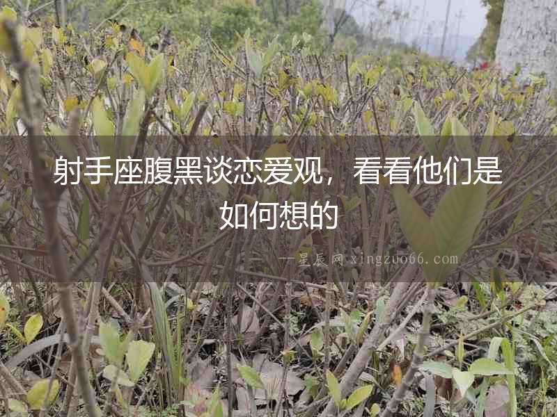射手座腹黑談戀愛觀，看看他們是如何想的