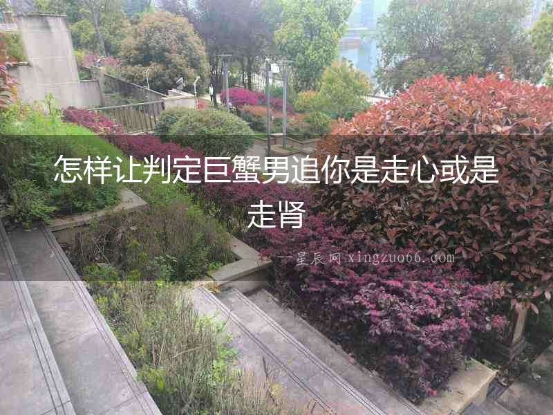 怎樣讓判定巨蟹男追你是走心或是走腎