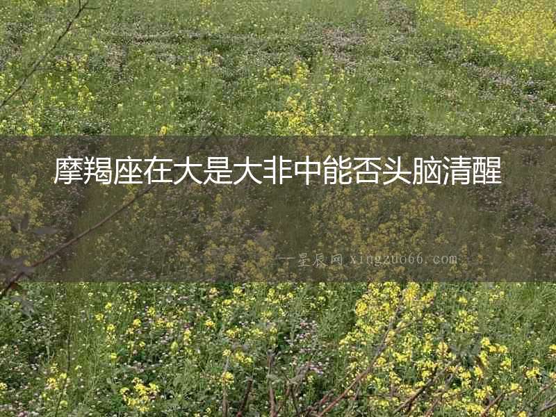 摩羯座在大是大非中能否頭腦清醒