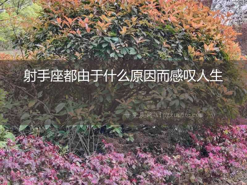 射手座都由于什么原因而感嘆人生