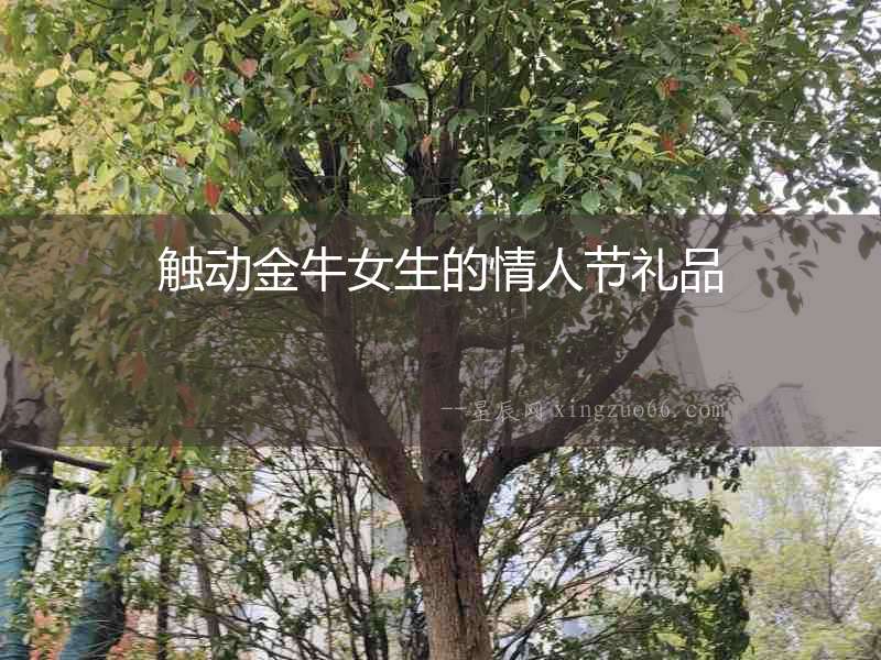 觸動金牛女生的情人節禮品