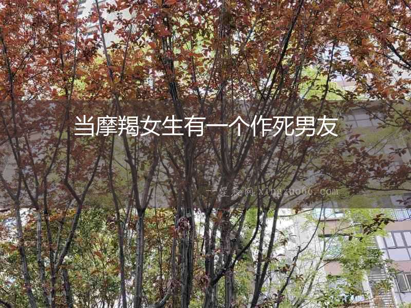 當摩羯女生有一個作死男友