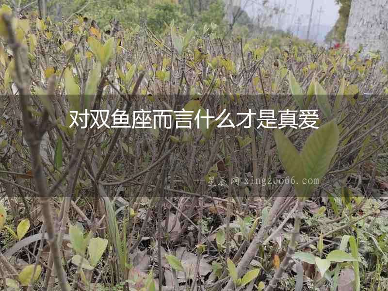 對(duì)雙魚座而言什么才是真愛(ài)