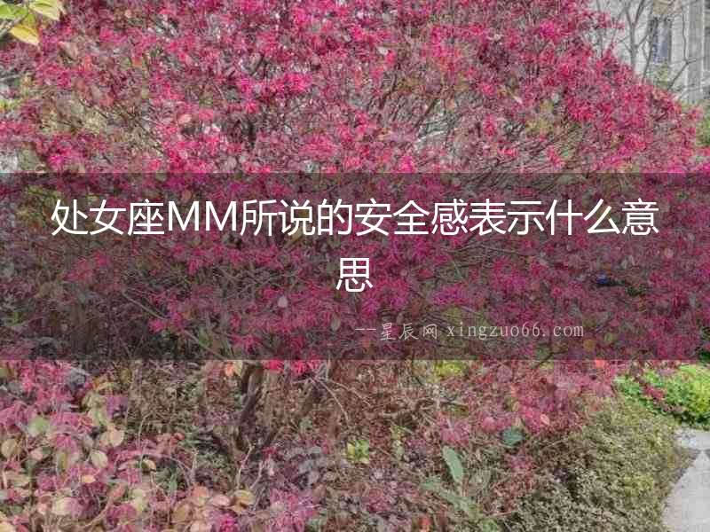 處女座MM所說的安全感表示什么意思