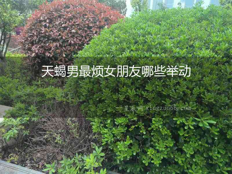 天蝎男最煩女朋友哪些舉動