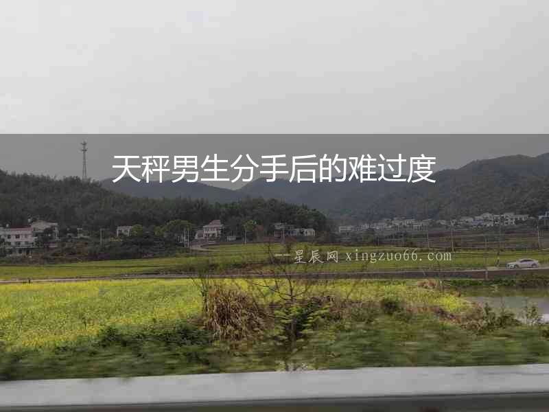 天秤男生分手后的難過度