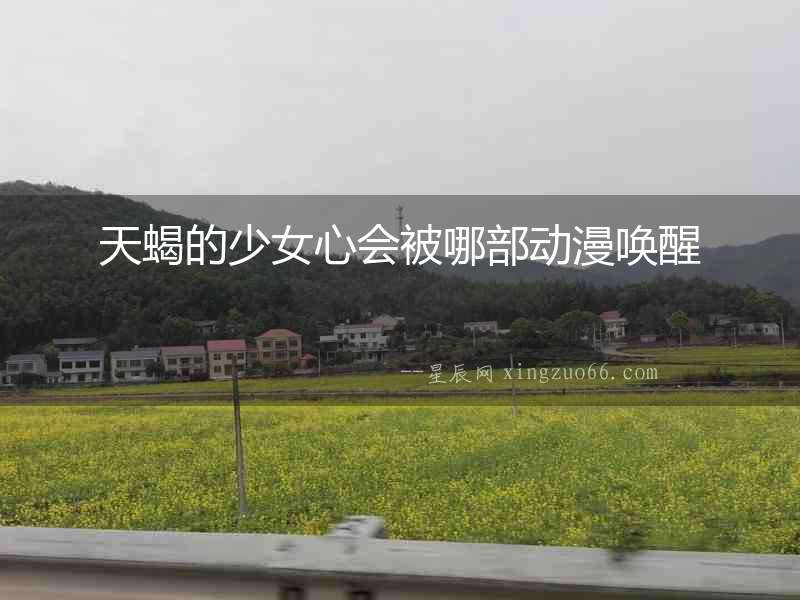 天蝎的少女心會被哪部動漫喚醒