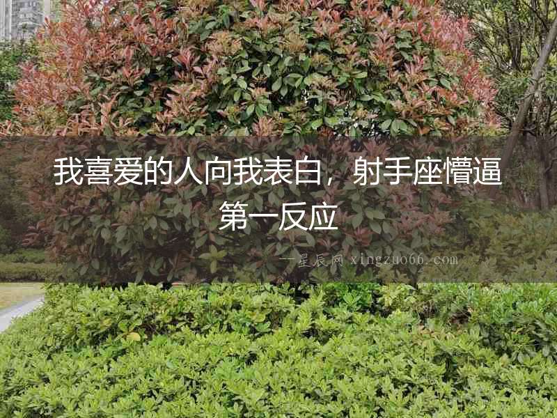 我喜愛的人向我表白，射手座懵逼第一反應