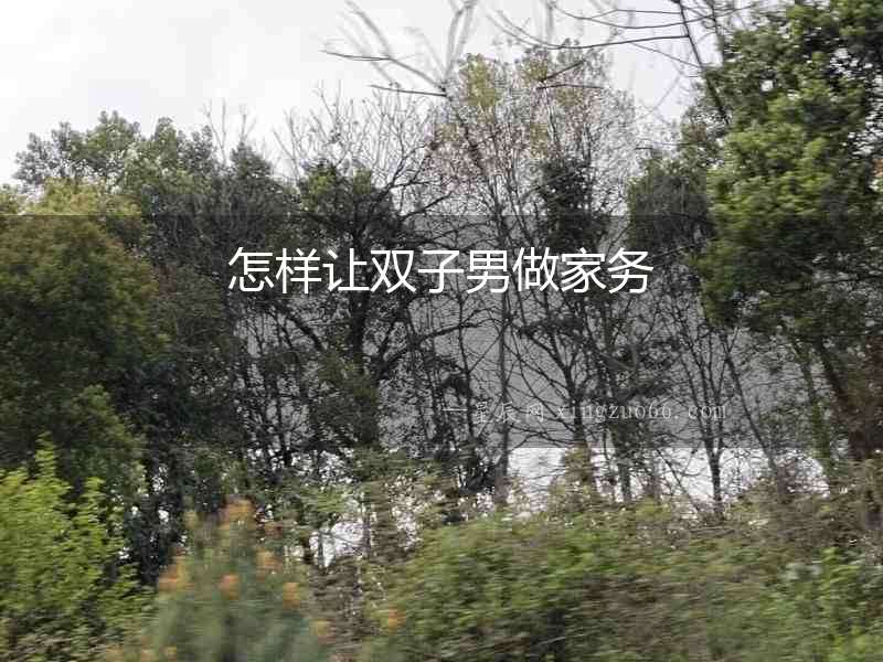 怎樣讓雙子男做家務(wù)
