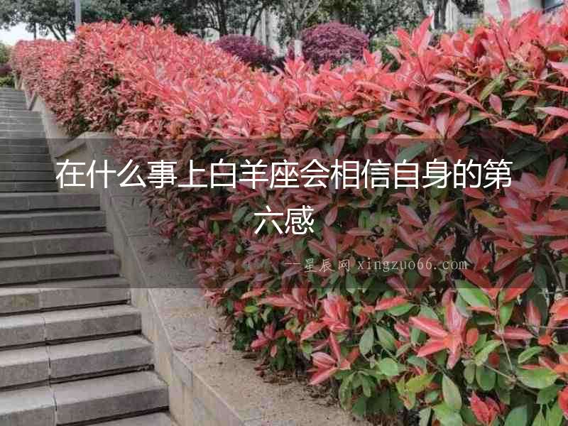 在什么事上白羊座會(huì)相信自身的第六感