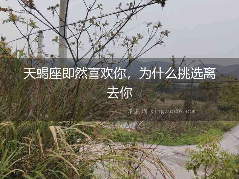 天蝎座即然喜歡你，為什么挑選離去你