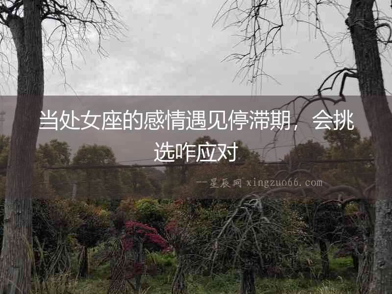 當處女座的感情遇見停滯期，會挑選咋應對