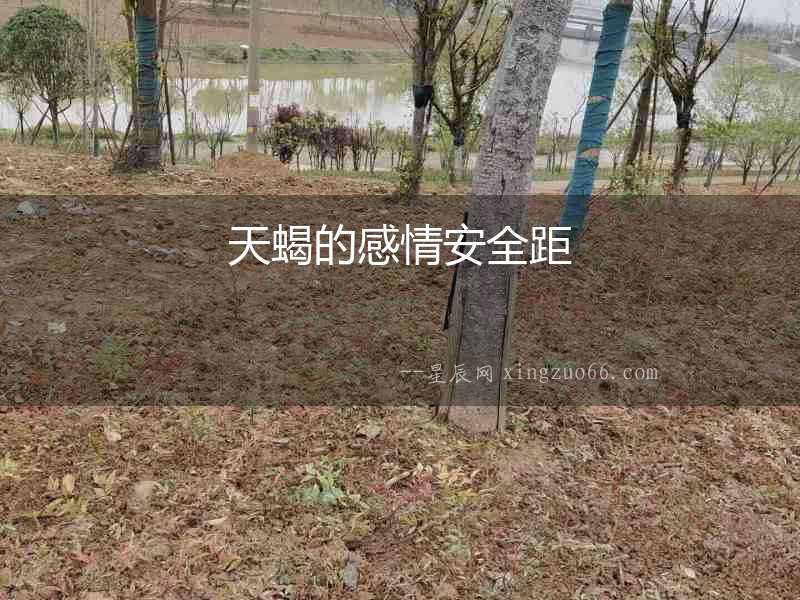 天蝎的感情安全距