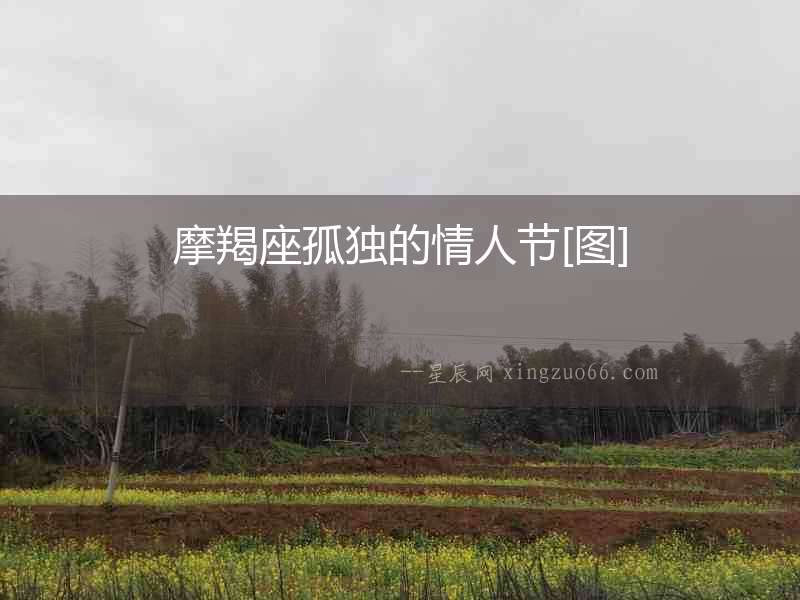 摩羯座孤獨的情人節[圖]