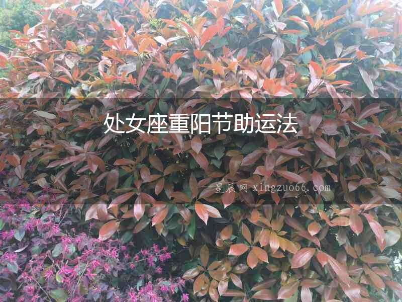 處女座重陽節助運法
