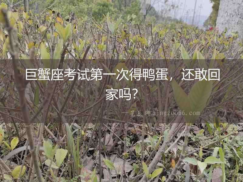 巨蟹座考試第一次得鴨蛋，還敢回家嗎？