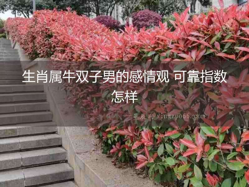 生肖屬牛雙子男的感情觀 可靠指數(shù)怎樣