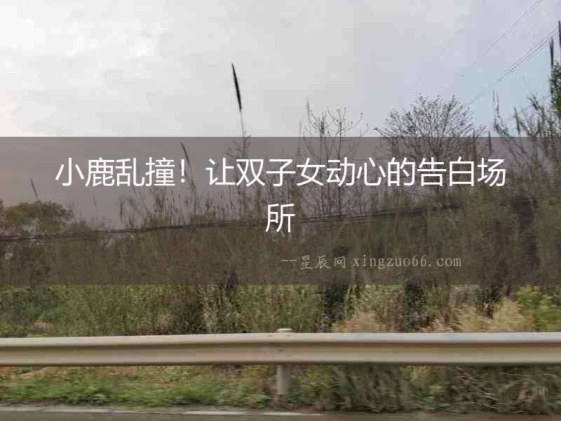 小鹿亂撞！讓雙子女動心的告白場所