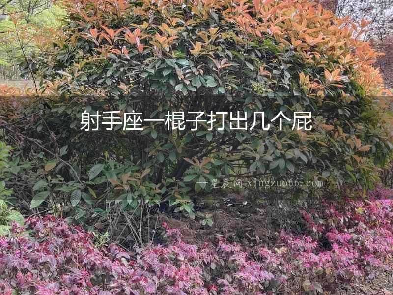 射手座一棍子打出幾個(gè)屁