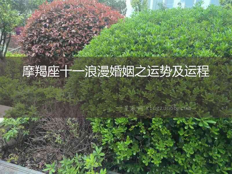 摩羯座十一浪漫婚姻之運勢及運程