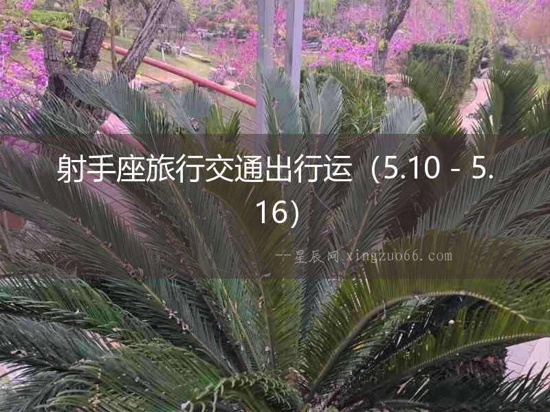 射手座旅行交通出行運（5.10－5.16）