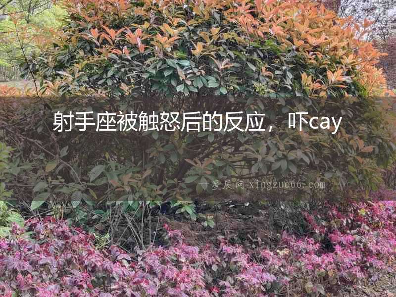 射手座被觸怒后的反應，嚇cay