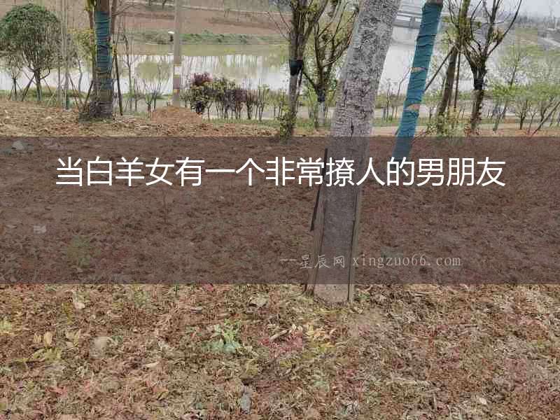 當白羊女有一個非常撩人的男朋友