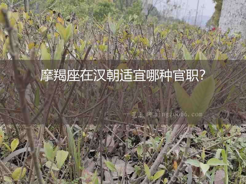 摩羯座在漢朝適宜哪種官職？