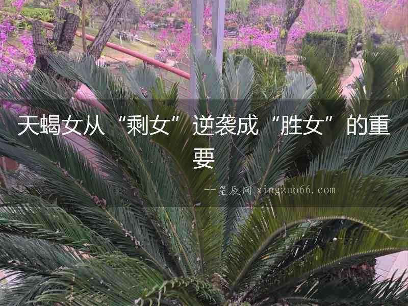 天蝎女從“剩女”逆襲成“勝女”的重要