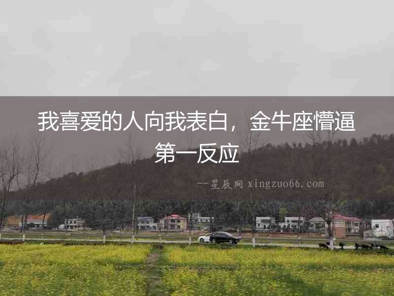 我喜愛的人向我表白，金牛座懵逼第一反應