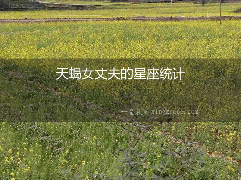 天蝎女丈夫的星座統計