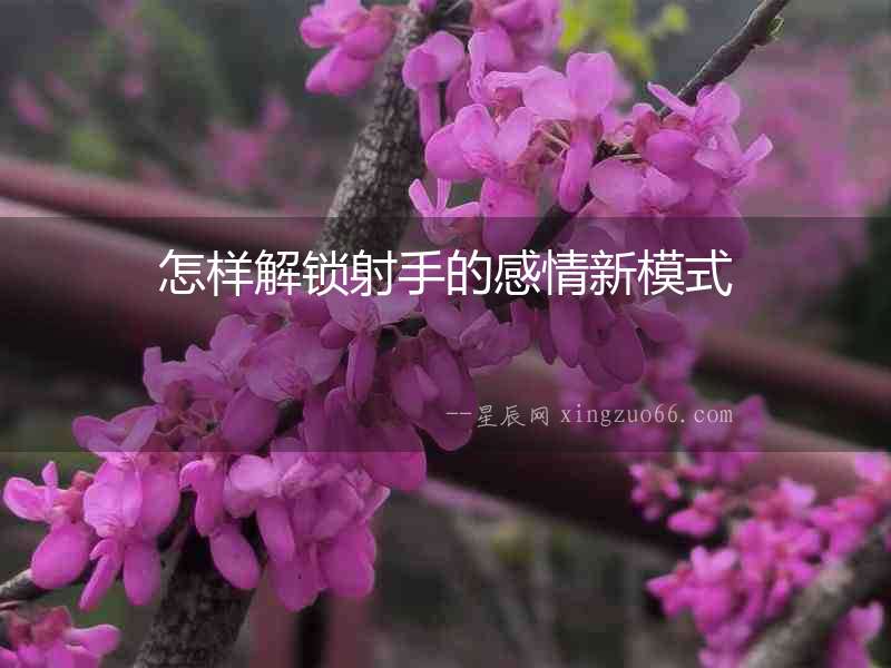 怎樣解鎖射手的感情新模式