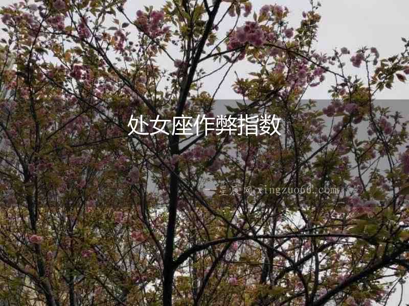 處女座作弊指數