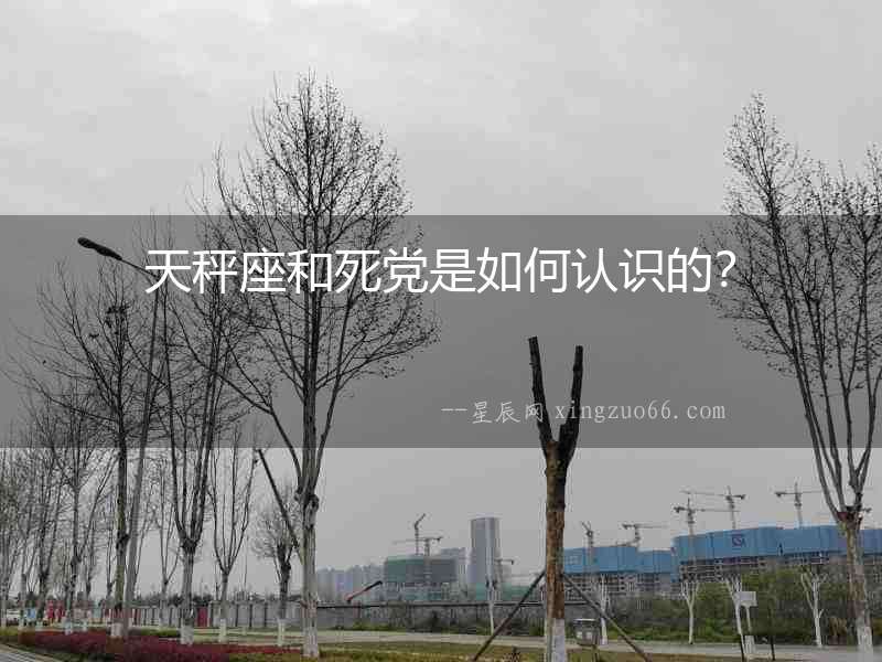 天秤座和死黨是如何認識的？