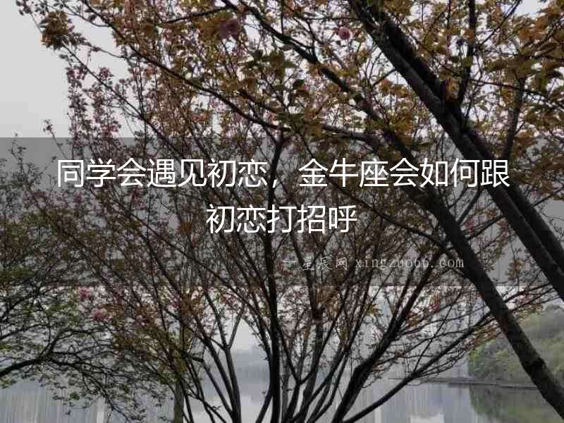 同學(xué)會(huì)遇見(jiàn)初戀，金牛座會(huì)如何跟初戀打招呼