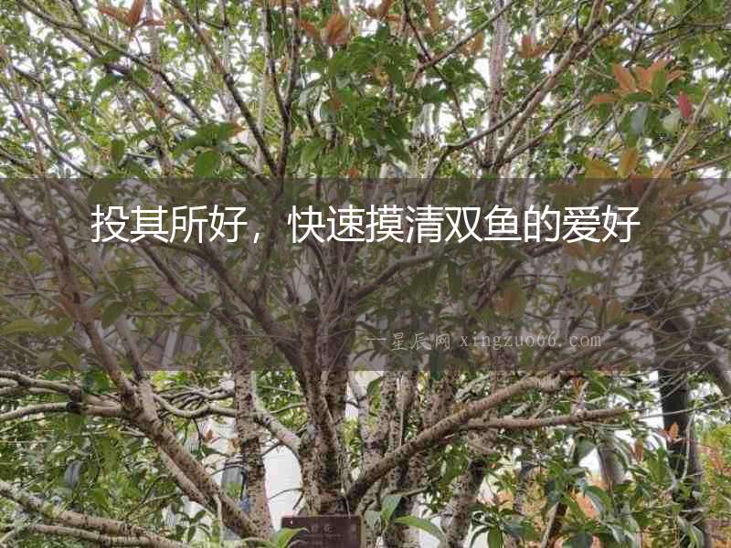 投其所好，快速摸清雙魚的愛好