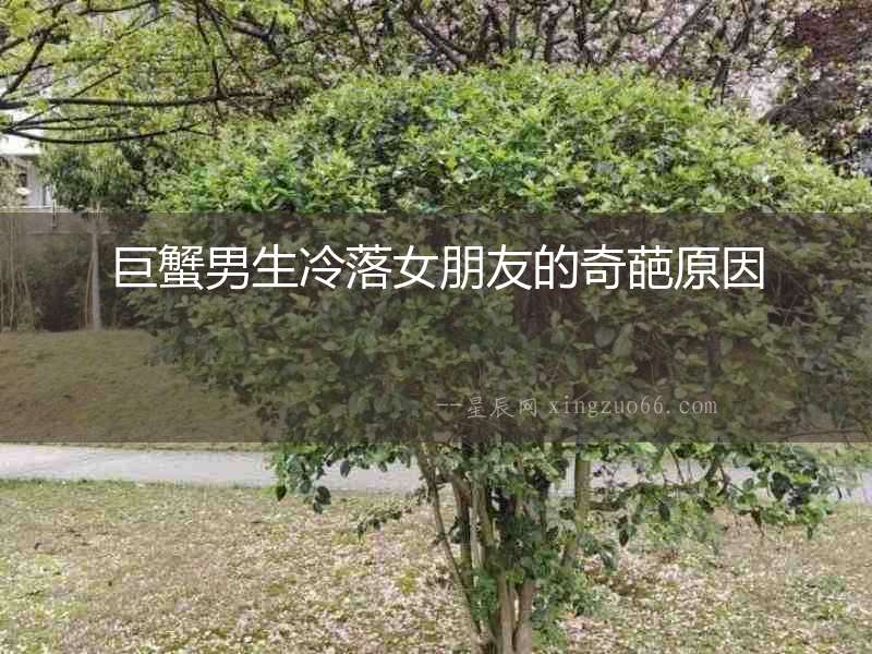 巨蟹男生冷落女朋友的奇葩原因