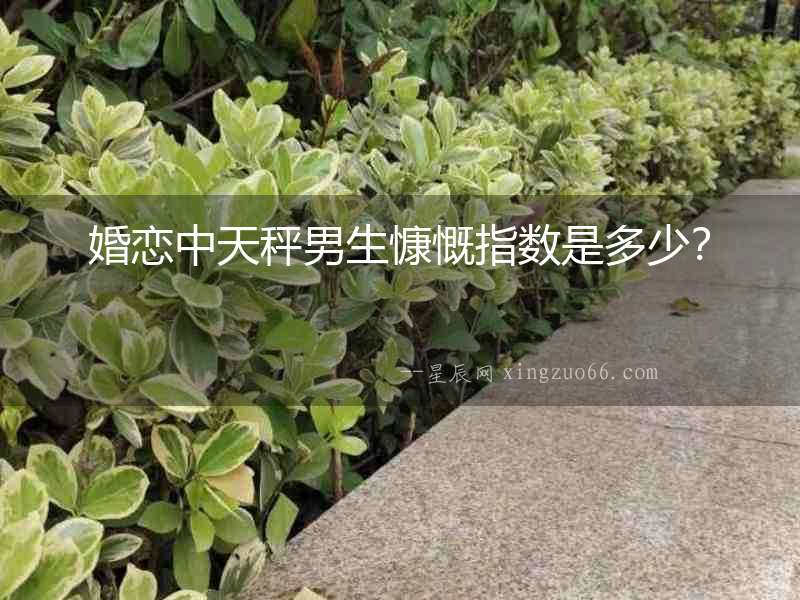 婚戀中天秤男生慷慨指數是多少？