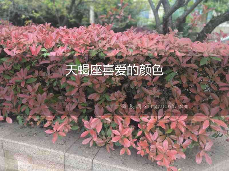天蝎座喜愛的顏色