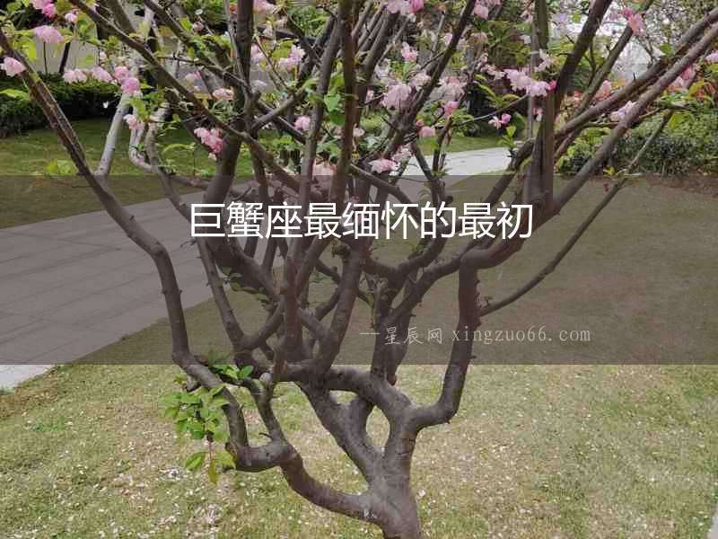 巨蟹座最緬懷的最初