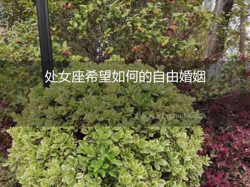 處女座希望如何的自由婚姻