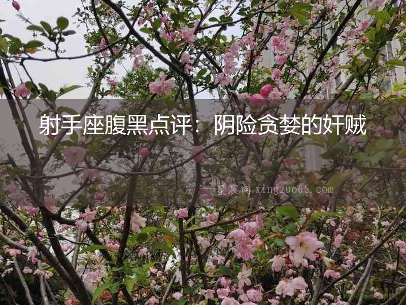 射手座腹黑點評：陰險貪婪的奸賊