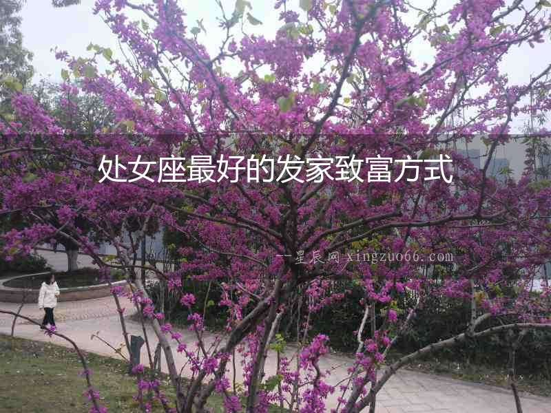 處女座最好的發(fā)家致富方式