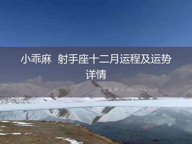 小乖麻  射手座十二月運程及運勢詳情