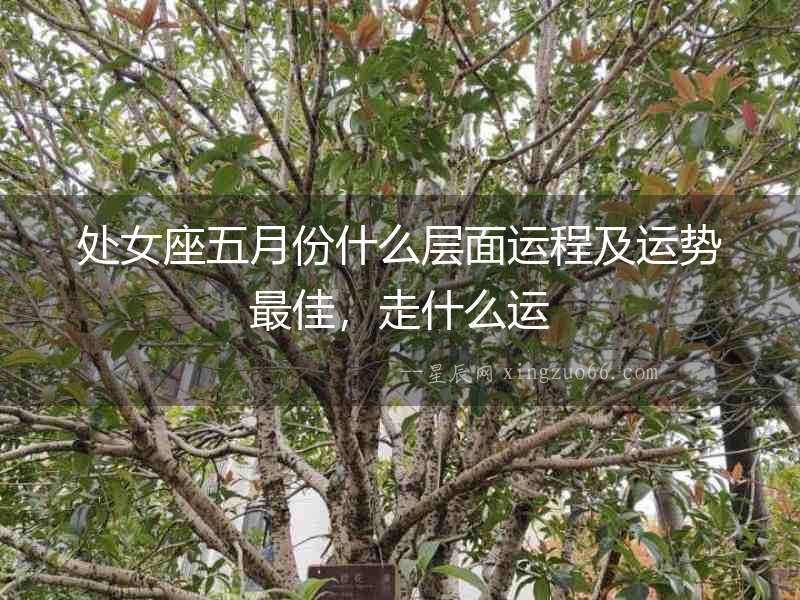 處女座五月份什么層面運程及運勢最佳，走什么運