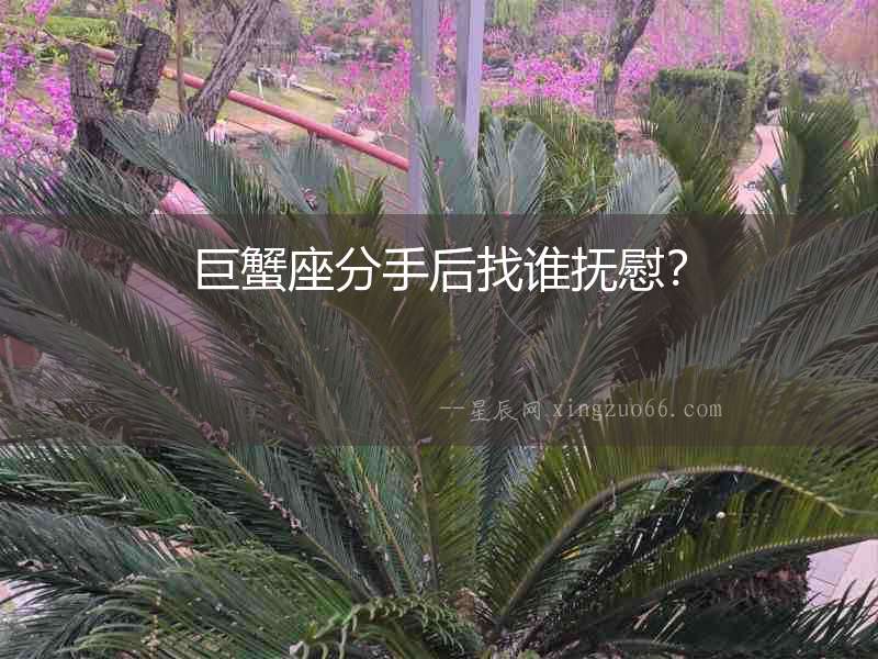 巨蟹座分手后找誰撫慰？