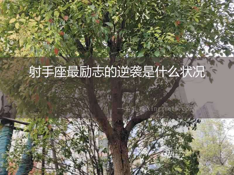 射手座最勵志的逆襲是什么狀況