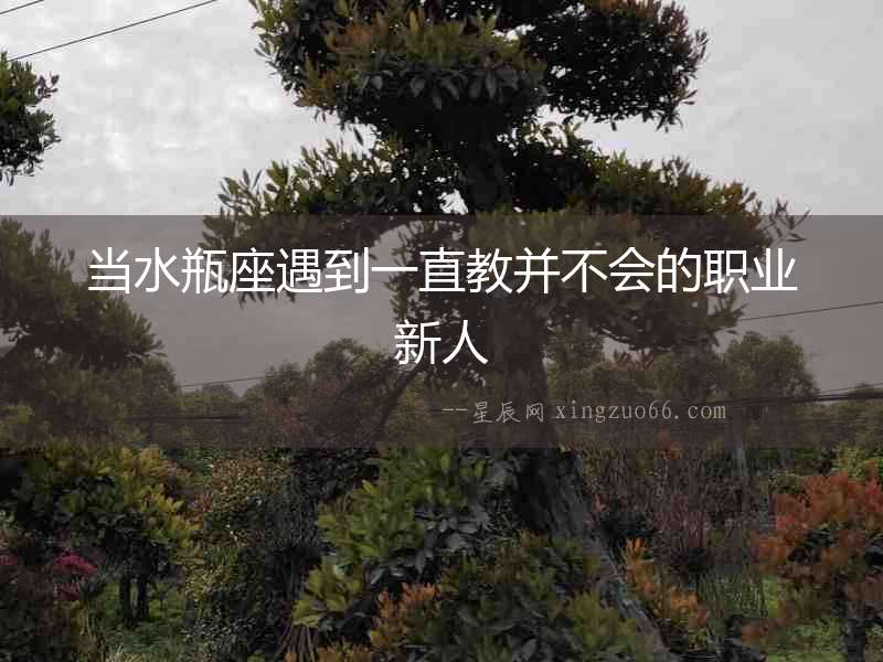 當水瓶座遇到一直教并不會的職業新人
