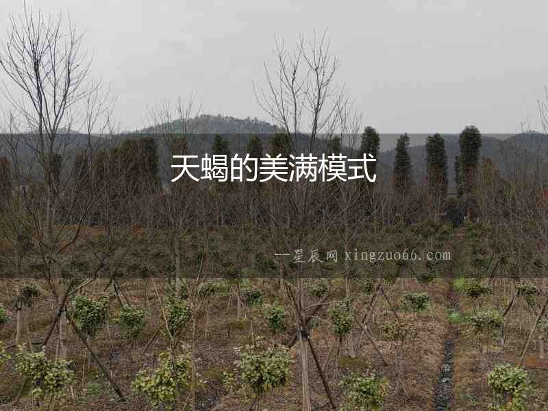 天蝎的美滿模式
