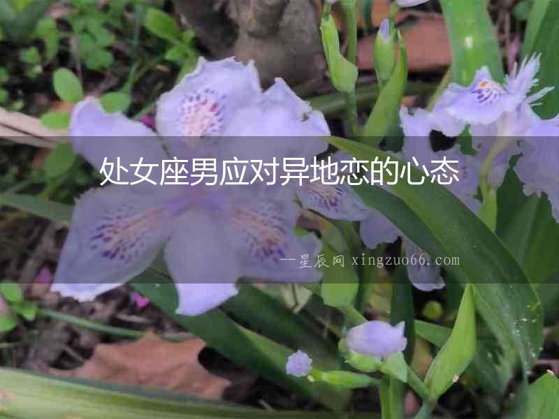 處女座男應對異地戀的心態